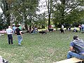 img 131